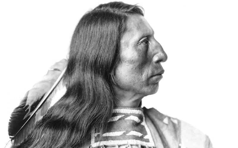 Sacagawea Native American Woman